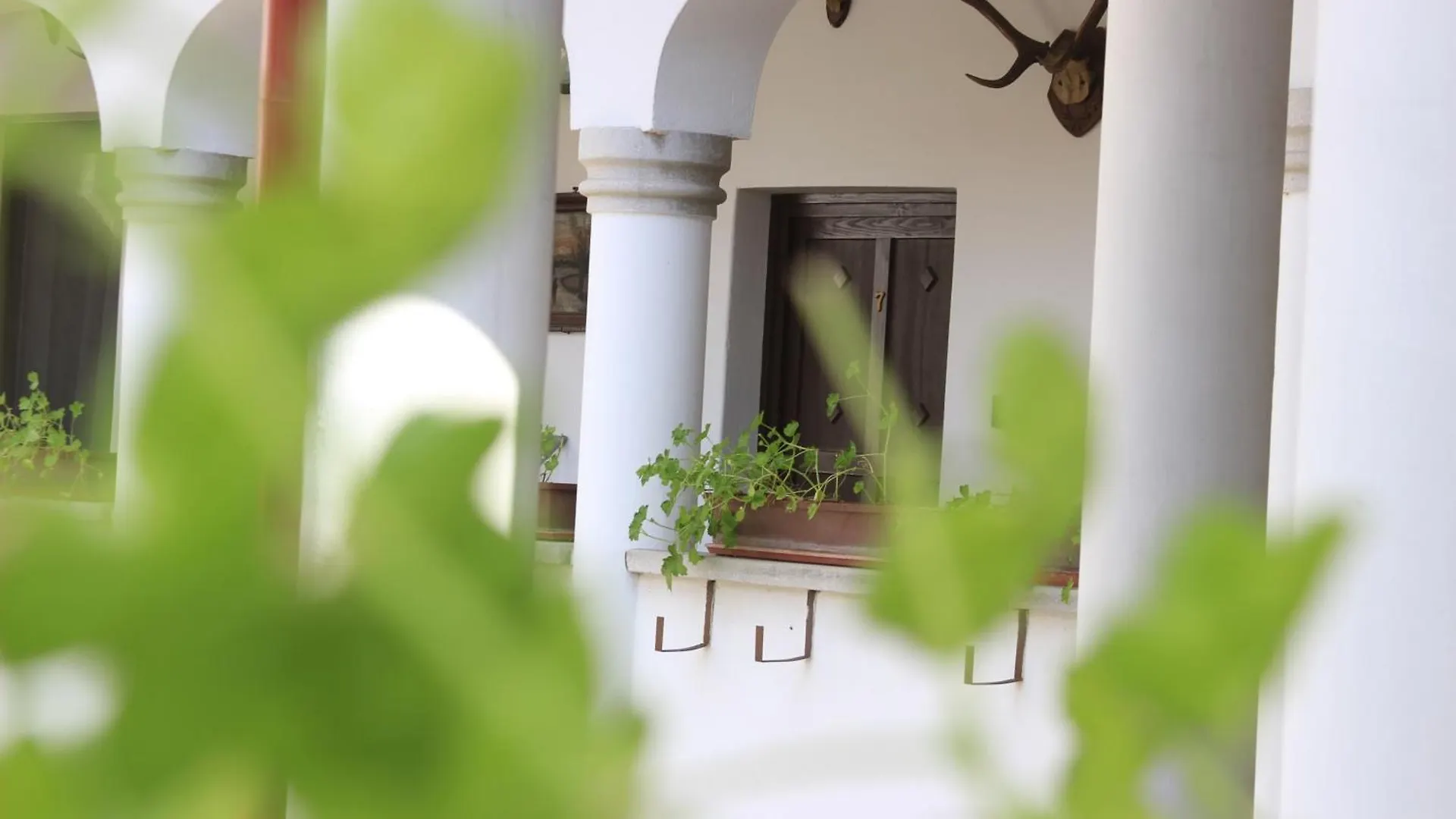 **** Nocleg ze śniadaniem Bed and Breakfast Eden Panzio Eger Węgry